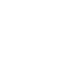 Ace Hardware coupon code logo for online discounts