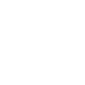 Ace Hardware coupon code logo for online discounts