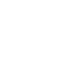 Official Priceline logo for promo code and coupon deals